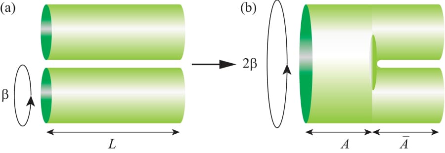 Quantum entangled Observability - figure 1